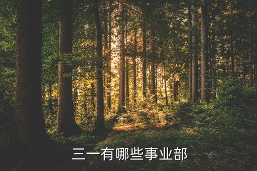 三一重工索特傳動設(shè)備有限公司,常熟索特傳動設(shè)備有限公司怎么樣