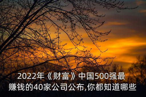 2022年《財(cái)富》中國(guó)500強(qiáng)最 賺錢的40家公司公布,你都知道哪些