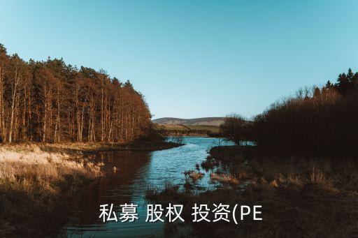  私募 股權 投資(PE