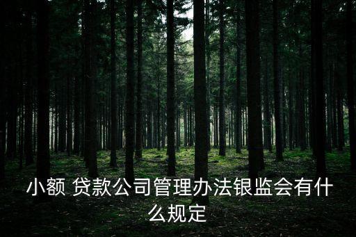 小額貸款公司能否對外提供擔保