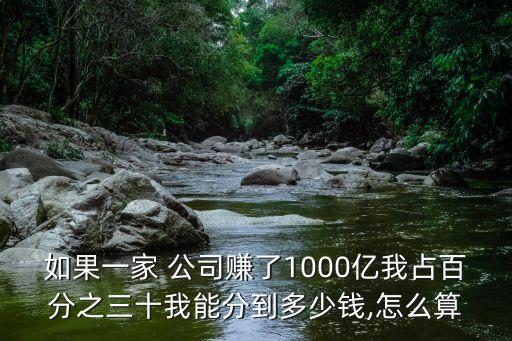 如果一家 公司賺了1000億我占百分之三十我能分到多少錢,怎么算