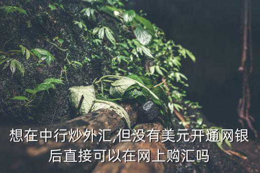 想在中行炒外匯,但沒有美元開通網(wǎng)銀后直接可以在網(wǎng)上購匯嗎