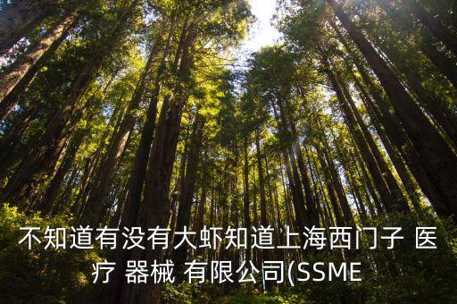 不知道有沒(méi)有大蝦知道上海西門子 醫(yī)療 器械 有限公司(SSME