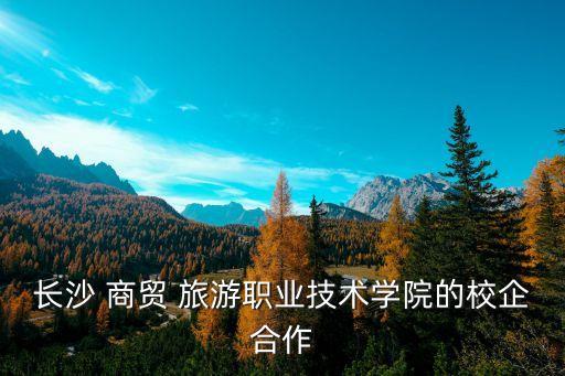 商貿(mào)旅游集團(tuán),杭州市商貿(mào)旅游集團(tuán)有限公司