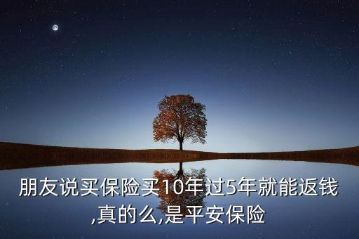 保險(xiǎn)公司十周年紀(jì)實(shí),中國(guó)最大的保險(xiǎn)公司排名前十