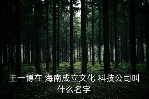 王一博在 海南成立文化 科技公司叫什么名字