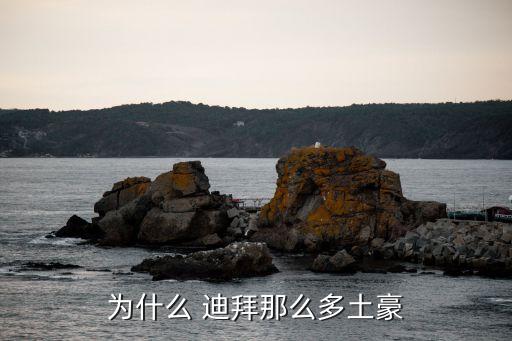 迪拜到上海原油海運費,上海到迪拜海運費查詢