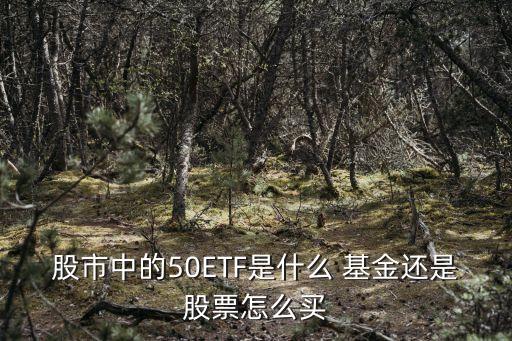 股市中的50ETF是什么 基金還是股票怎么買