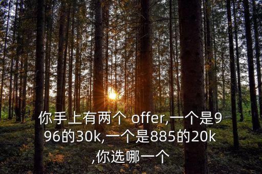 你手上有兩個(gè) offer,一個(gè)是996的30k,一個(gè)是885的20k,你選哪一個(gè)