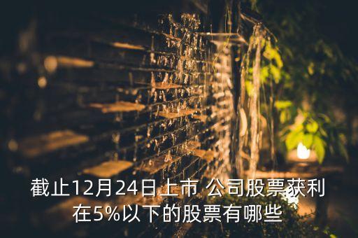 截止12月24日上市 公司股票獲利在5%以下的股票有哪些