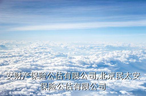 民太安財產(chǎn)保險公估有限公司,北京民太安保險公估有限公司