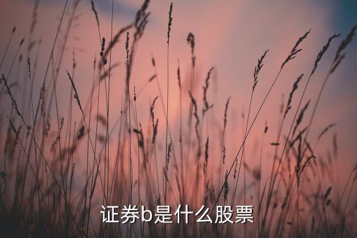 指數(shù)分級(jí)基金b,分級(jí)基金是什么意思