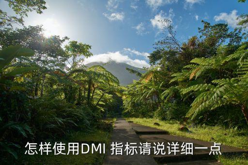 怎樣使用DMI 指標(biāo)請說詳細一點