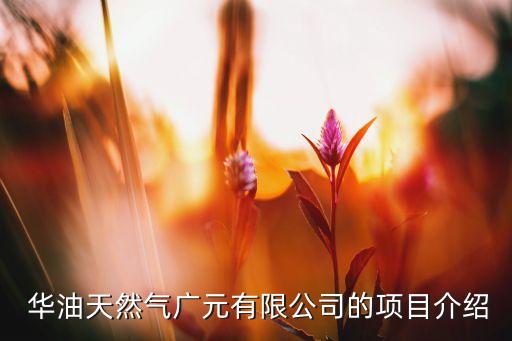 華油能源子公司,國家能源集團待遇好的子公司