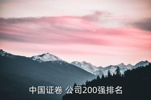 中國證卷 公司200強排名