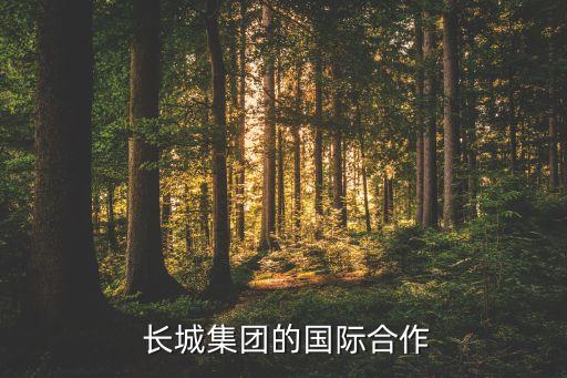  長(zhǎng)城集團(tuán)的國(guó)際合作