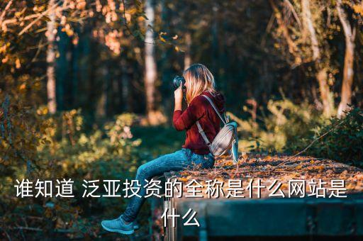 誰知道 泛亞投資的全稱是什么網(wǎng)站是什么