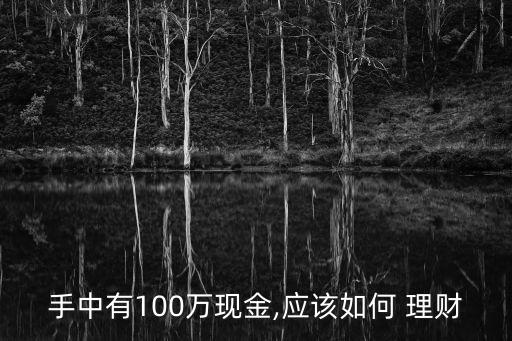 手中有100萬現(xiàn)金,應該如何 理財