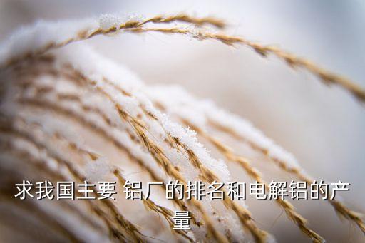 商丘神火集團神火鋁業(yè)新疆鋁廠