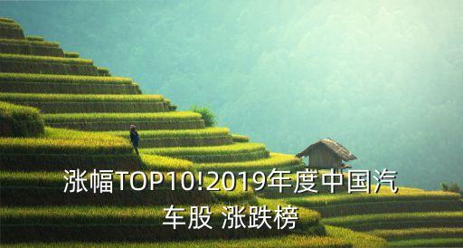 漲幅TOP10!2019年度中國(guó)汽車(chē)股 漲跌榜