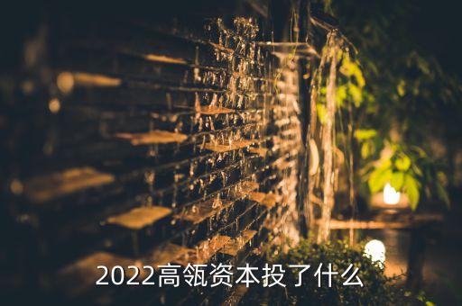 2022高瓴資本投了什么