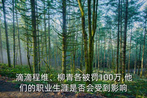  滴滴程維、柳青各被罰100萬,他們的職業(yè)生涯是否會受到影響