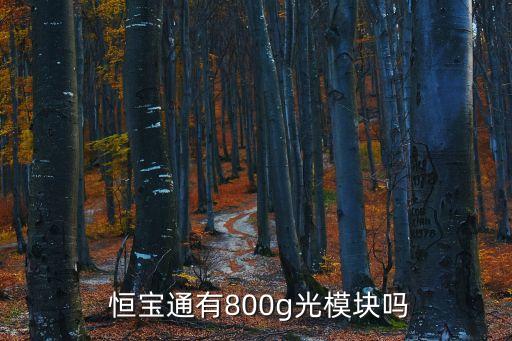  恒寶通有800g光模塊嗎