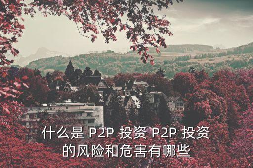 什么是 P2P 投資 P2P 投資的風(fēng)險(xiǎn)和危害有哪些