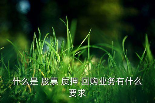 什么是 股票 質(zhì)押 回購業(yè)務(wù)有什么要求