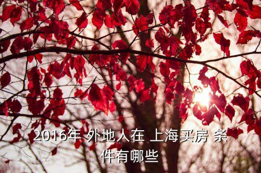 2016年 外地人在 上海買(mǎi)房 條件有哪些