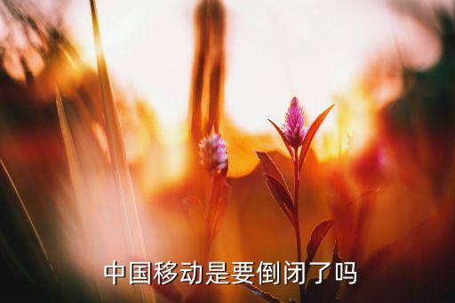 為什么中國(guó)移動(dòng)不轉(zhuǎn)型,中國(guó)移動(dòng)轉(zhuǎn)型發(fā)展總體思路