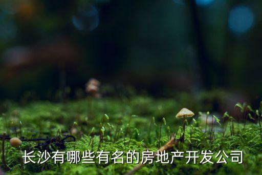  長沙有哪些有名的房地產(chǎn)開發(fā)公司