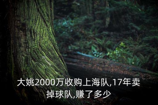 大姚2000萬收購(gòu)上海隊(duì),17年賣掉球隊(duì),賺了多少