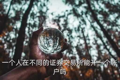 一個(gè)人在不同的證券交易所能開一個(gè)帳戶嗎