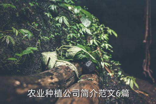  農(nóng)業(yè)種植公司簡(jiǎn)介范文6篇