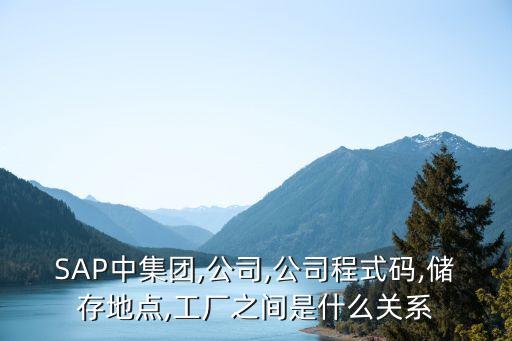 SAP中集團(tuán),公司,公司程式碼,儲(chǔ)存地點(diǎn),工廠(chǎng)之間是什么關(guān)系