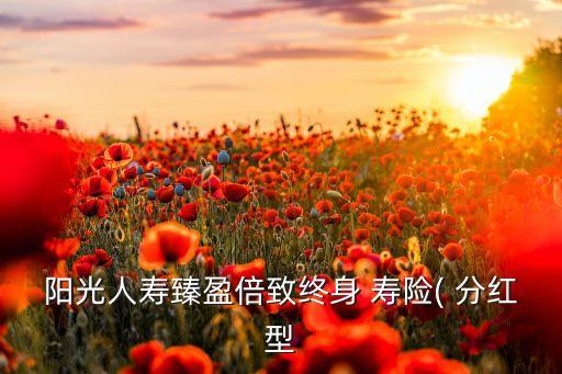 陽(yáng)光人壽臻盈倍致終身 壽險(xiǎn)( 分紅型