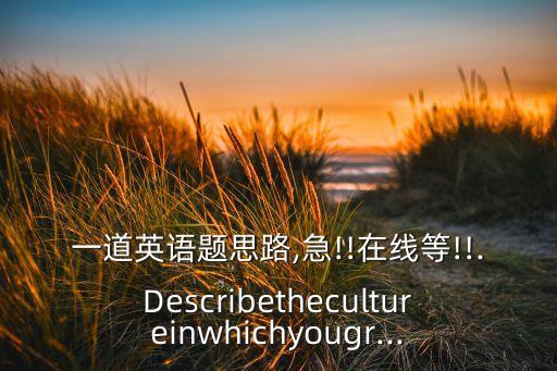 一道英語(yǔ)題思路,急!!在線等!!.Describethecultureinwhichyougr...