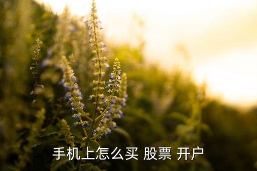 東方財(cái)富股票開(kāi)戶流程