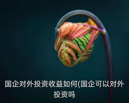 華能集團經濟效益