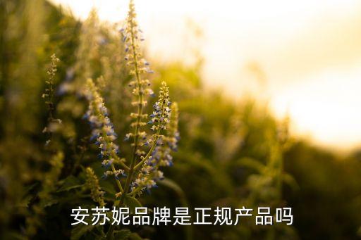 上海安蘇投資管理有限公司