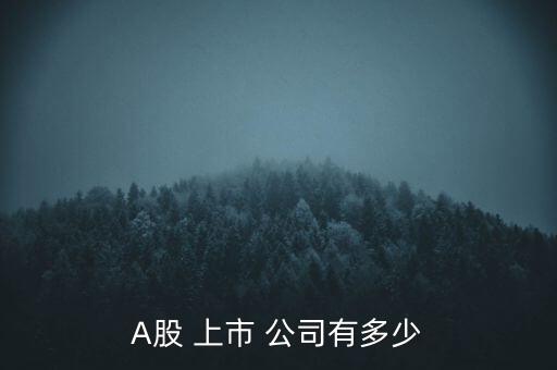 A股 上市 公司有多少