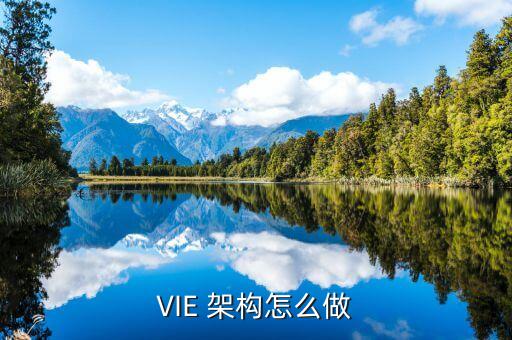 VIE 架構怎么做