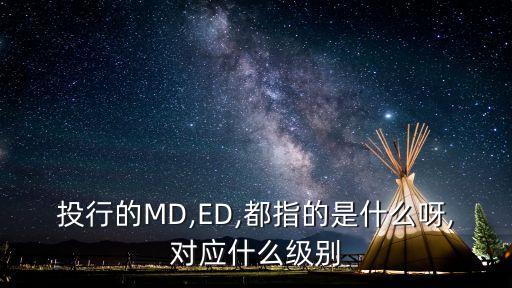 投行的MD,ED,都指的是什么呀,對應什么級別