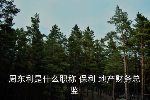 周東利是什么職稱 保利 地產(chǎn)財務總監(jiān)