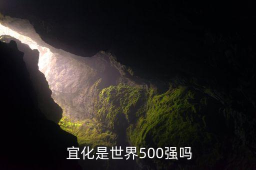  宜化是世界500強(qiáng)嗎