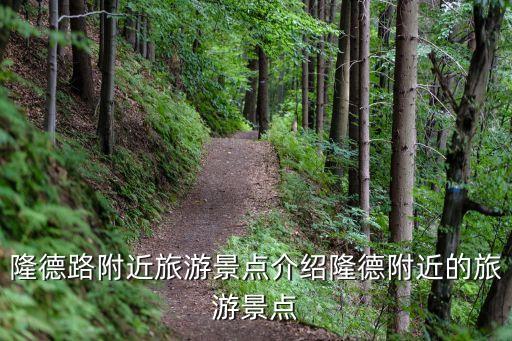 隆德路附近旅游景點(diǎn)介紹隆德附近的旅游景點(diǎn)