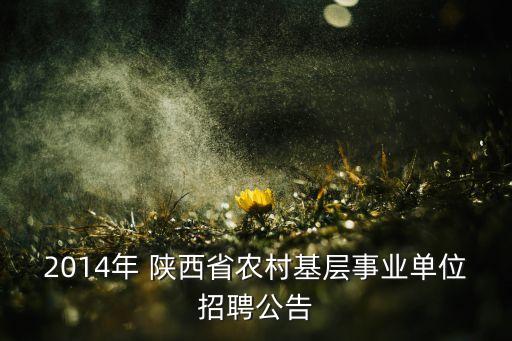 陜西省扶貧開發(fā)投資集團,臺江縣扶貧開發(fā)投資集團有限責(zé)任公司