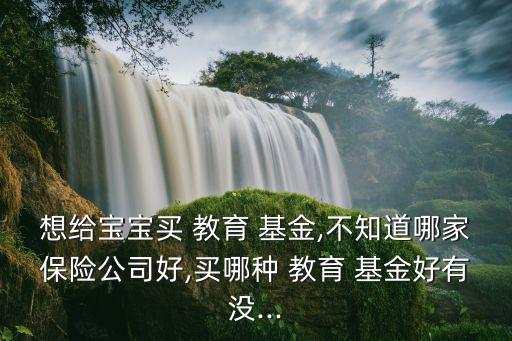 想給寶寶買 教育 基金,不知道哪家保險(xiǎn)公司好,買哪種 教育 基金好有沒...