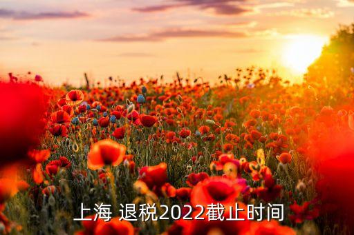  上海 退稅2022截止時(shí)間